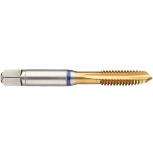 ‎8-36 3 Flute 3B Cobalt Spiral Point Plug Blue Ring Tap-TiN - Apex Tool & Supply