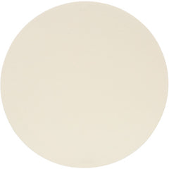3M Trizact Hookit Film Disc 568XA White 5″ × 1″ Die 500FF - Exact Industrial Supply