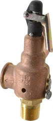 Midwest Control - 3/4" Inlet, 3/4" Outlet, ASME Safety Relief Valve - 150 Max psi, Bronze, 350 Cubic' per Min - Apex Tool & Supply