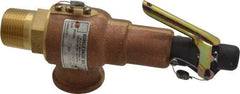 Midwest Control - 1" Inlet, 1" Outlet, ASME Safety Relief Valve - 175 Max psi, Bronze, 720 Cubic' per Min - Apex Tool & Supply