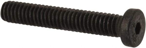 Made in USA - #10-24 UNC Hex Socket Drive, Low Socket Cap Screw - Grade 4037 Alloy Steel, Black Oxide Finish, Fully Threaded, 3/8" Length Under Head - Apex Tool & Supply