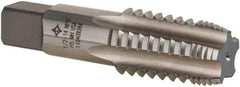 Cleveland - 1/2-14 NPTF, 4 Flutes, Bright Finish, High Speed Steel, Interrupted Thread Pipe Tap - 3-1/8 Inch Overall Length, 11/16 Inch Shank Diameter, 1-3/8 Inch Thread Length, 0.51 Inch Square Size, Regular Hook, Plug Chamfer - Apex Tool & Supply