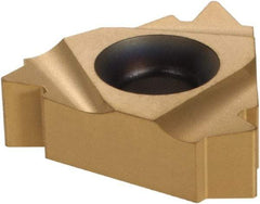 Seco - 27NR Internal 5 API V 0.040 Laydown Threading Insert - Grade CP300, TiAlN/TiN Coated Carbide, 15.89mm Inscribed Circle - Apex Tool & Supply