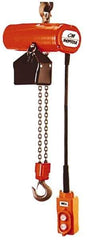 CM - 1/8 Ton Capacity, 16 FPM Lift Speed, Hook Mounted Hoist - 0.167 Output hp, 10' Max Lift, 11-1/16" Min Headroom, 1 Chain - Apex Tool & Supply