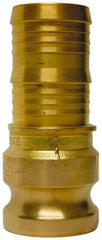EVER-TITE Coupling Products - 2" Brass Cam & Groove Suction & Discharge Hose Male Adapter Hose Shank - Part E, 350 Max psi - Apex Tool & Supply