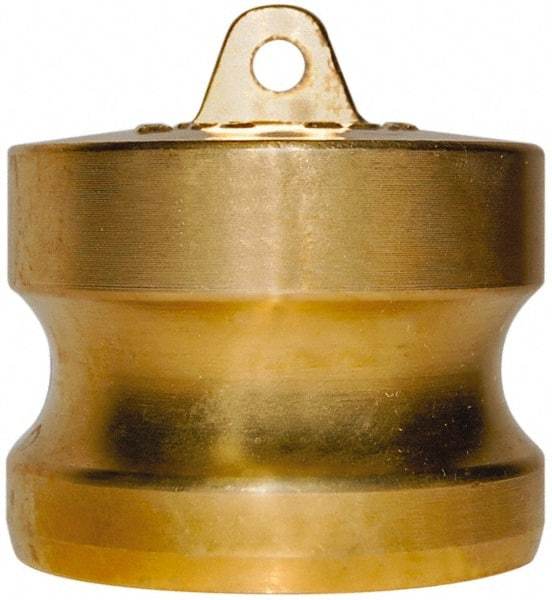 EVER-TITE Coupling Products - 2" Brass Cam & Groove Suction & Discharge Hose Dust Plug For Use with Couplers - Part DP, 350 Max psi - Apex Tool & Supply