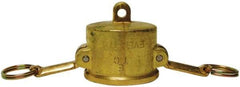 EVER-TITE Coupling Products - 2" Brass Cam & Groove Suction & Discharge Hose Dust Cap For Use with Adapters - Part DC, 350 Max psi - Apex Tool & Supply