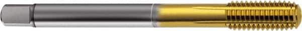Guhring - M36x4.00 Metric 6HX D17/D18 Thread Limit Semi-Bottoming Thread Forming Tap - Cobalt, TiN Finish, 200mm OAL, Right Hand Thread, Series 923 - Apex Tool & Supply