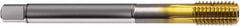 Guhring - M12x1.75 Metric 6HX D11/D12 Thread Limit Bottoming Thread Forming Tap - Powdered Metal High Speed Steel, TiN Finish, 110mm OAL, Right Hand Thread, Series 1727 - Apex Tool & Supply