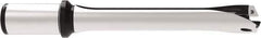 Allied Machine and Engineering - Series 29, 29 to 31.99mm Diam, 1-1/4" Diam Straight Shank with Flange, Straight Flute Spade Drill - 3-25/32" Max Depth, 7-25/32" OAL, Standard Length, Through Coolant - Apex Tool & Supply