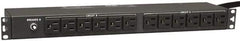 Tripp-Lite - 24 Outlets, 120 VAC30 Amps, 15' Cord, Power Outlet Strip - Rack Mount, 5-15/20R NEMA Configuration, 19" Strip - Apex Tool & Supply