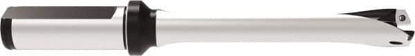Allied Machine and Engineering - Series 17, 17 to 17.99mm Diam, 3/4" Diam Straight Shank with Flange, Straight Flute Spade Drill - 2-1/8" Max Depth, 5.4516" OAL, Standard Length, Through Coolant - Apex Tool & Supply