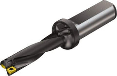 Sandvik Coromant - 3.8885" Max Drill Depth, 4xD, 23.7998mm Diam, Indexable Insert Drill - 2 Inserts, 1" Shank Diam, Straight Shank - Apex Tool & Supply
