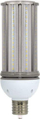 Value Collection - 45 Watt LED Commercial/Industrial Mogul Lamp - 5,000°K Color Temp, 5,400 Lumens, 100, 277 Volts, Ex39, 50,000 hr Avg Life - Apex Tool & Supply