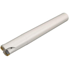 Iscar - 1" Cut Diam, 1" Max Depth of Cut, 1" Shank Diam, Indexable Plunge End Mill - Straight Shank, Through Coolant, Series TangPlunge - Apex Tool & Supply