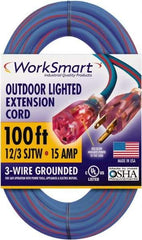 Value Collection - 100', 12/3 Gauge/Conductors, Blue/Red Outdoor Extension Cord - 1 Receptacle, 15 Amps, UL SJTW, NEMA 5-15P - Apex Tool & Supply