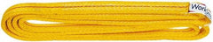 Value Collection - 6' Long x 1" Wide, 6,200 Lb Vertical Capacity, 2 Ply, Polyester Web Sling - 4,900 Lb Choker Capacity, with Endless Sling - Apex Tool & Supply