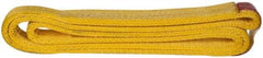 Value Collection - 4' Long x 2" Wide, 12,200 Lb Vertical Capacity, 2 Ply, Polyester Web Sling - 9,800 Lb Choker Capacity, with Endless Sling - Apex Tool & Supply