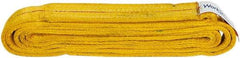 Value Collection - 8' Long x 2" Wide, 12,200 Lb Vertical Capacity, 2 Ply, Polyester Web Sling - 9,800 Lb Choker Capacity, with Endless Sling - Apex Tool & Supply