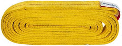 Value Collection - 16' Long x 2" Wide, 12,200 Lb Vertical Capacity, 2 Ply, Polyester Web Sling - 9,800 Lb Choker Capacity, with Endless Sling - Apex Tool & Supply