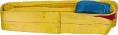 Value Collection - 20' Long x 4" Wide, 11,500 Lb Vertical Capacity, 2 Ply, Polyester Web Sling - 9,200 Lb Choker Capacity, with Eye & Eye (Flat) - Apex Tool & Supply