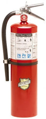 Buckeye Fire - 10 Lb, 4-A:80B:C Rated, Dry Chemical Fire Extinguisher - Apex Tool & Supply