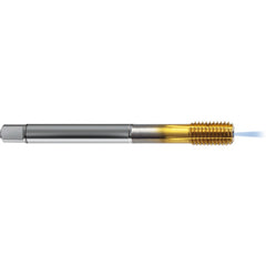 9043820048260 FORM TAP - Exact Industrial Supply