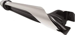 Allied Machine and Engineering - Series 29, 29 to 31.99mm Diam, 32mm Diam Straight Shank with Flange, Straight Flute Spade Drill - 223.9mm Max Depth, 264.1mm Body Length, 324.1mm OAL, Standard Length, Through Coolant - Apex Tool & Supply