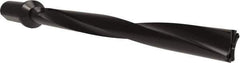 Allied Machine and Engineering - Series APX 38, 10xD, 50mm Shank Diam, Drill Body - 503.9mm Drill Body Length to Flange, W3810H Toolholder, 583.9mm OAL, 503.9mm Drill Body Length, Weldon Flat Shank, Through Coolant - Apex Tool & Supply
