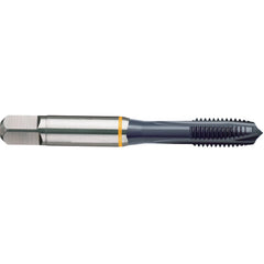 M8X1.00 D5 PLUG TAP-TICN - Apex Tool & Supply
