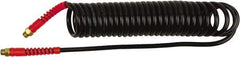 PRO-SOURCE - 1/4" ID, 1/4 Thread, 15' Long, Black Polyurethane Coiled & Self Storing Hose - 145 Max psi, Male Swivel x Male Swivel - Apex Tool & Supply