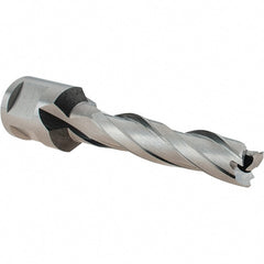 Hougen - 29/64" Diam x 2" Deep High Speed Steel Annular Cutter - Apex Tool & Supply