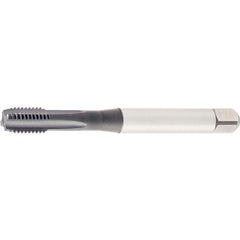 GT425002 M6X1 6HX STFL BOTT 371 - Exact Industrial Supply