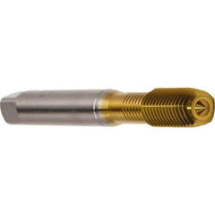 Emuge - M3x0.50 Metric 6HX Modified Bottoming Thread Forming Tap - Cobalt, TiN Finish, 56mm OAL, 11mm Thread Length, Right Hand Thread, Series Druck - Apex Tool & Supply
