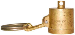 EVER-TITE Coupling Products - 1-1/2" Brass Cam & Groove Suction & Discharge Hose Dust Cap For Use with Adapters - Part DC, 350 Max psi - Apex Tool & Supply