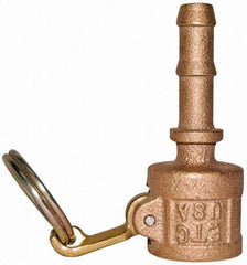 EVER-TITE Coupling Products - 1/2" Brass Cam & Groove Suction & Discharge Hose Female Coupler Hose Shank - Part C, 350 Max psi - Apex Tool & Supply