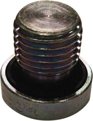 Parker - 1-1/4 Male Thread, Steel Industrial Pipe Hollow Hex Plug - MBSPP, 4,500 psi - Apex Tool & Supply