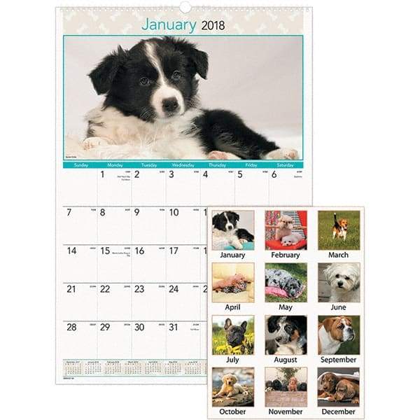 AT-A-GLANCE - 12 Sheet, 15-1/2 x 22-3/4", Wall Calendar - Puppies - Apex Tool & Supply