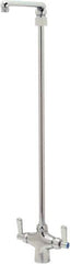 Zurn - Swing Spout/Nozzle, Two Handle, Chrome Plated Single Hole Mount, Laboratory Faucet - Lever Handle - Apex Tool & Supply