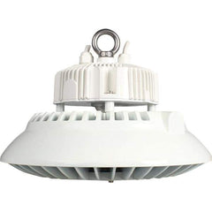 Eiko Global - 1 Lamp, 100 Watts, LED, High Bay Fixture - 11.81" Wide, 120-277 Volt, Steel Housing - Apex Tool & Supply