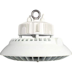 Eiko Global - 1 Lamp, 100 Watts, LED, High Bay Fixture - 11.81" Wide, 120-277 Volt, Steel Housing - Apex Tool & Supply