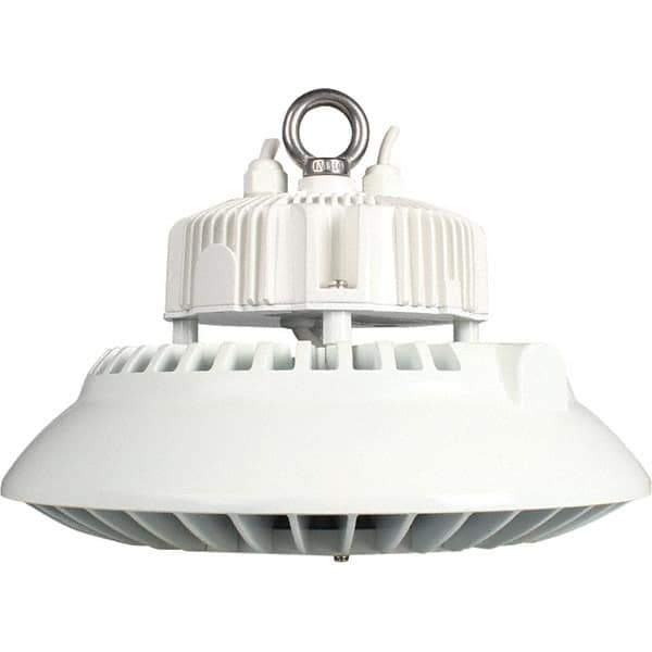 Eiko Global - 1 Lamp, 200 Watts, LED, High Bay Fixture - 250mm High x 11.81" Wide, 120-277 Volt, Steel Housing - Apex Tool & Supply