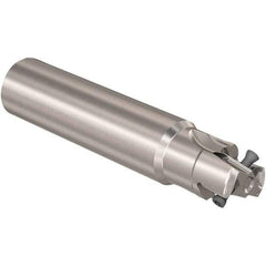 Seco - 25mm Cut Diam, 12mm Max Depth of Cut, 25mm Shank Diam, 170mm OAL, Indexable Square Shoulder Slot Milling End Mill - LOEX12 Inserts, Straight Shank, 90° Lead Angle, Through Coolant, Series 217.94-12 - Apex Tool & Supply