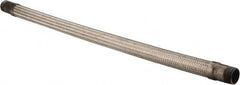 Made in USA - 36" OAL, 1-1/4" ID, 450 Max psi, Flexible Metal Hose Assembly - Apex Tool & Supply