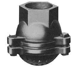 Value Collection - 2-1/2" Hose, Foot Valve - Cast Iron - Apex Tool & Supply