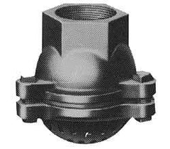 Value Collection - 2-1/2" Hose, Foot Valve - Cast Iron - Apex Tool & Supply