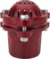 Value Collection - 2" Hose, Foot Valve - Cast Iron - Apex Tool & Supply