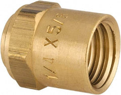 Dixon Valve & Coupling - Reusable Hose Hose Ferrule - 1/4" Hose ID x 5/8" Hose OD - Apex Tool & Supply