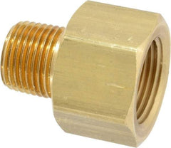 Dixon Valve & Coupling - 1/2 Male Thread x 3/4 Female Thread, Brass Industrial Pipe Adapter - MNPTF x FNPTF, 1,000 psi - Apex Tool & Supply