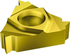 Sandvik Coromant - 166 Internal Right Hand Metric Laydown Threading Insert - Grade 1020, TiN Coated Carbide, 6.35mm Inscribed Circle - Apex Tool & Supply